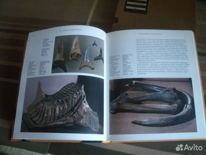 Музеи Урала и Сибири Геология, история, культура