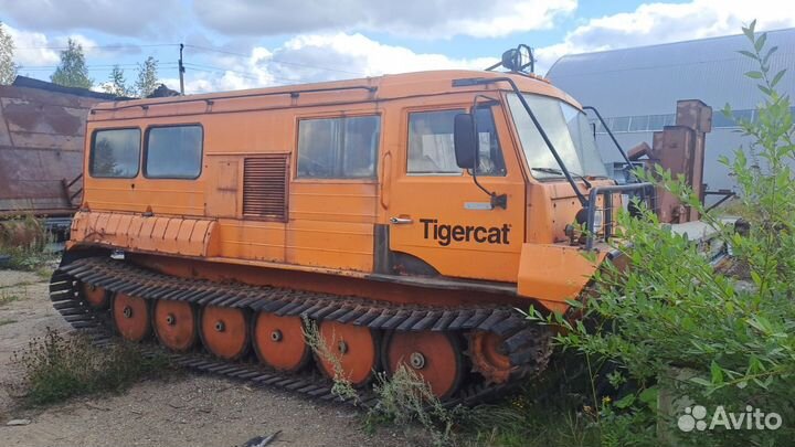 Снегоболотоход ттм 3902тп-01