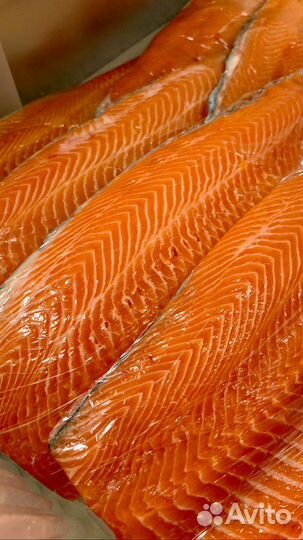 Форель, морепродукты