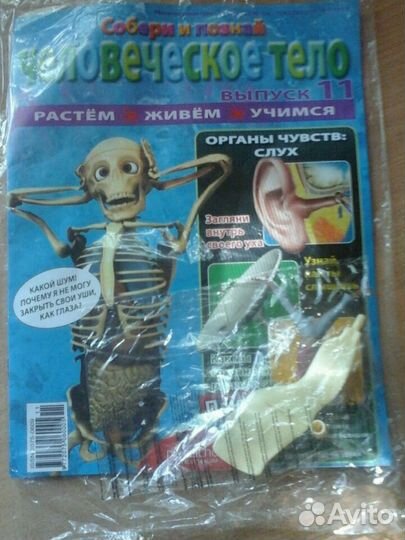 Журнал человеческое тело