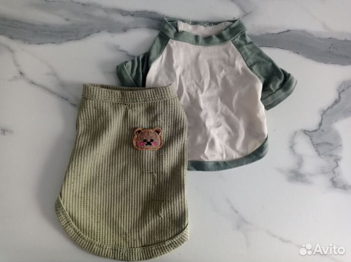 Одежда для собак мелких пород