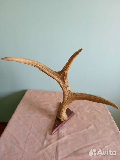 Предметы интерьера