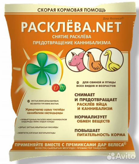 Дар Велеса Расклева net
