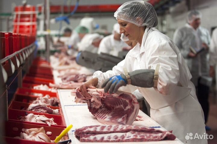 Разнорабочие.Вахта Воронеж На Мясокомбинат