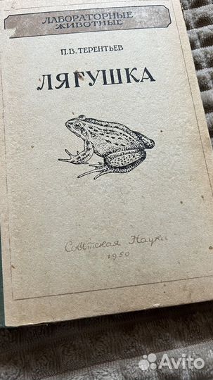 Книга учебное пособие анатомия лягушки