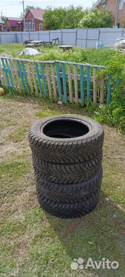 Шины зима Sava Escimo