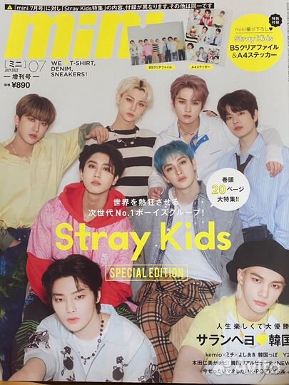 Stray kids журнал