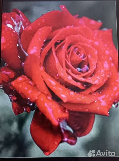 Алмазная мозаика набор