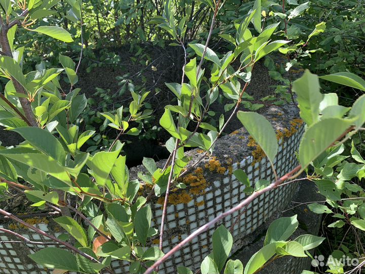 Трубы железобетонные б/у