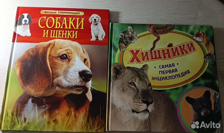 Детские энциклопедии