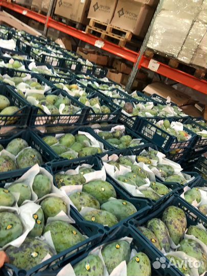 Манго Египет 2й сорт