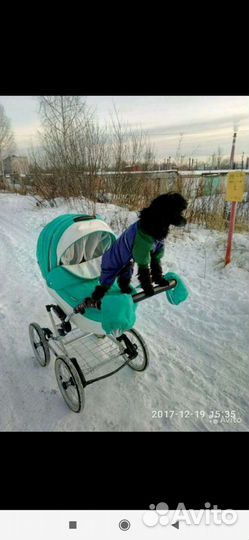 Вязка пудель