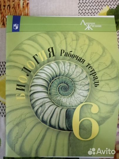 Рабочая тетрадь биология 6 класс