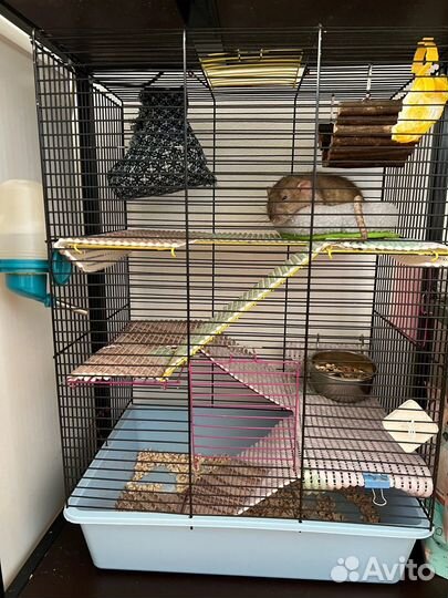 Клетка для грызунов