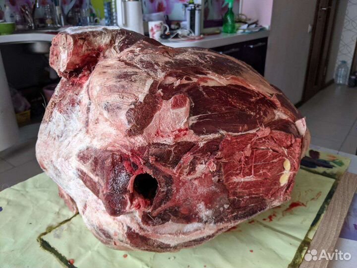 Оленина (Воркута)