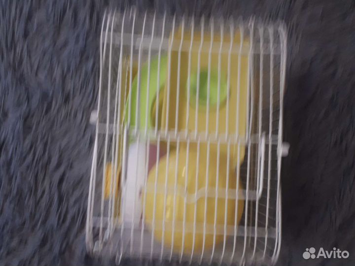 Клетка для Хомяков