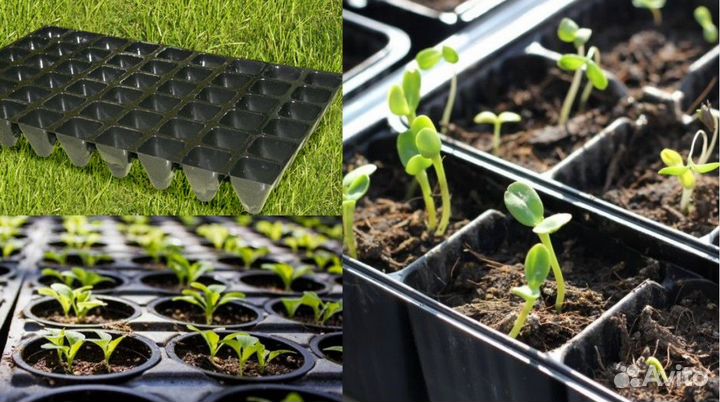 Кассеты для рассады 100
