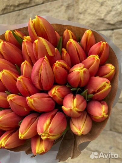 Цветы тюльпаны