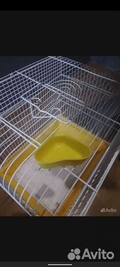 Клетка для грызунов