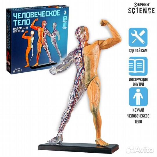 Эврики Научный опыт 