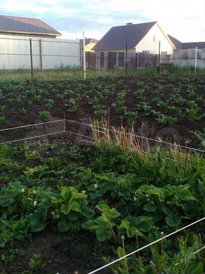 Участок 8 сот. (ИЖС)