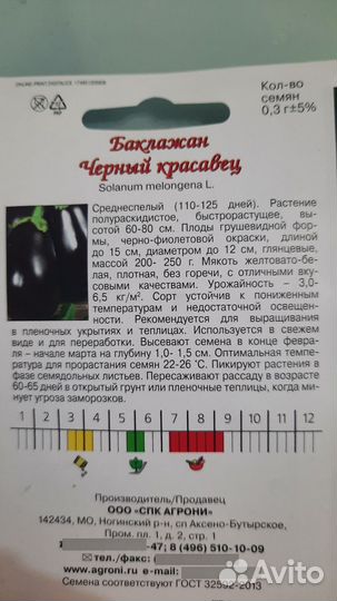 Рассада баклажан