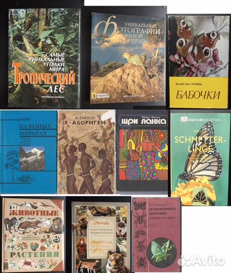 Книги природа животные насекомые география