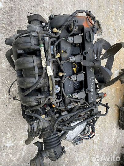 Двигатель LF-VE Mazda 3 11545959