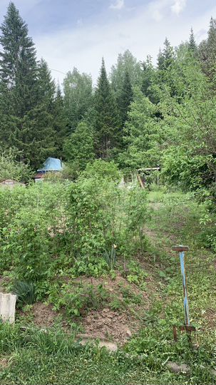 Участок 5 сот. (СНТ, ДНП)