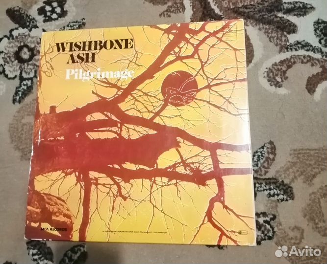 Wishbone Ash