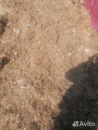 Навоз перегной