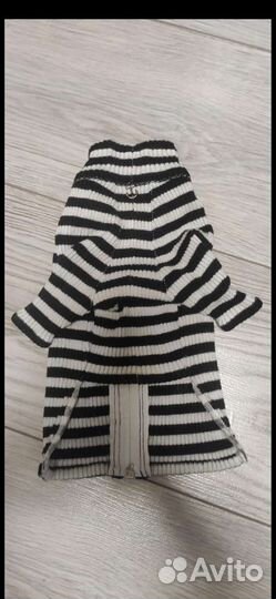 Одежда для маленьких пород собак