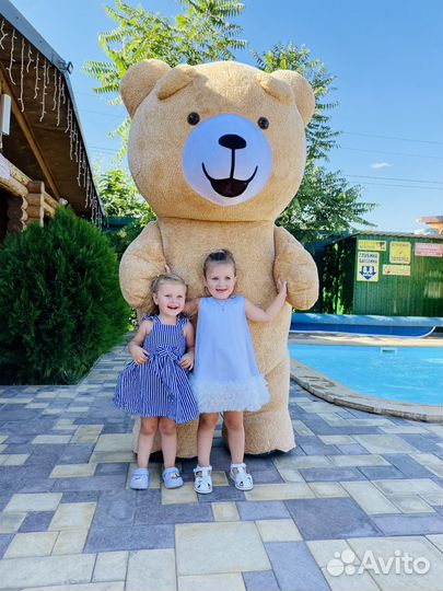 Аэромишка Тэдди поздравление Мишка Аниматор