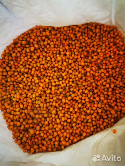 Облепиха (заморозка)