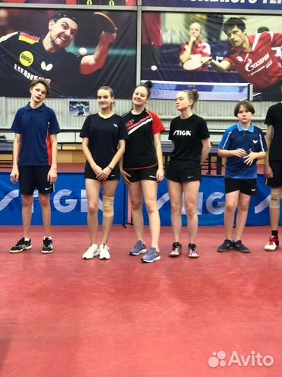 Теннис спаринг