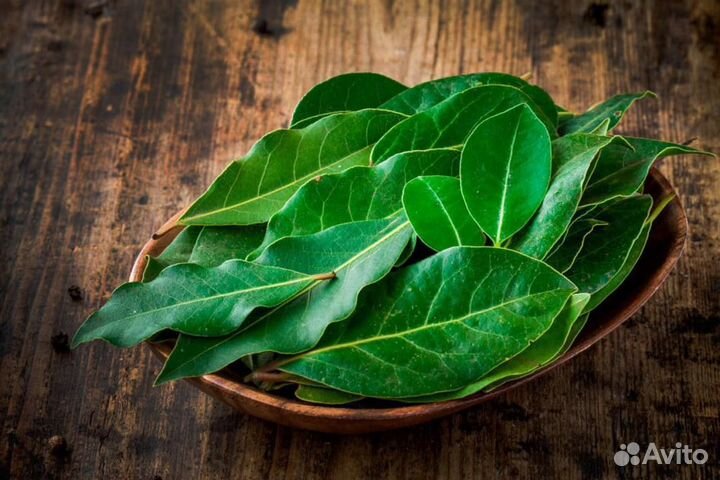 Лавровый лист свежий