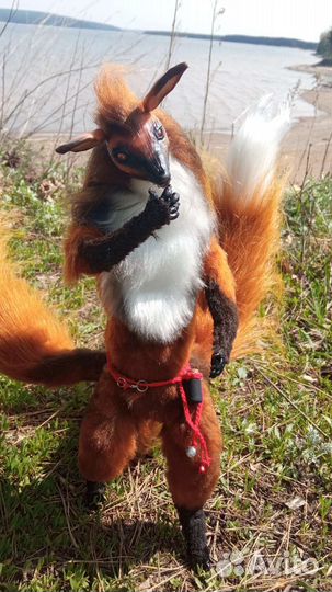 Лис трёх хвостый