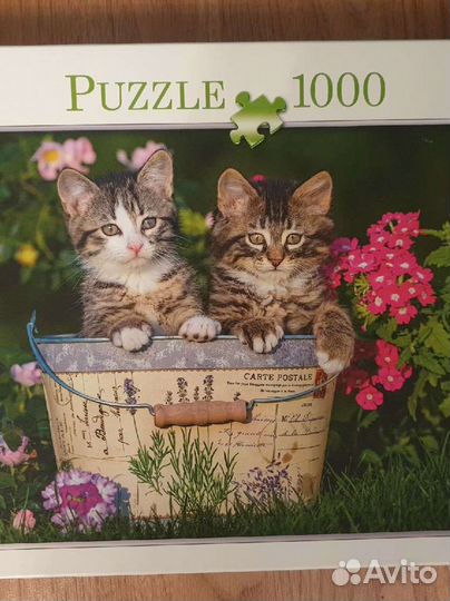 Пазлы 1000