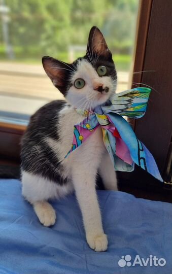 Малышка Джулия в добрые руки