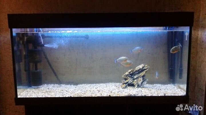 Аквариум с тумбой на 300 литров