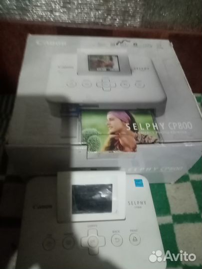 Canon selphy CP800