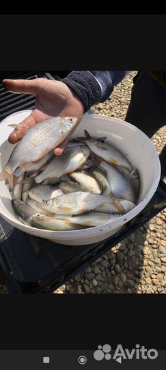 Рыбалка. Охота. Организация активного отдыха