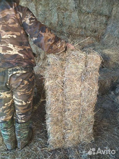 Сено в тюках