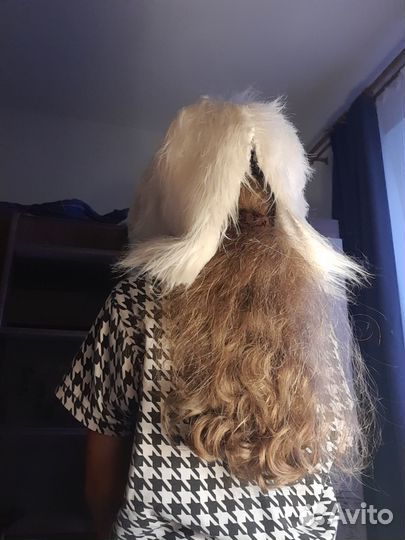 Фурсьют собаки