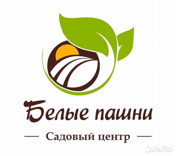 Продавец-консультант