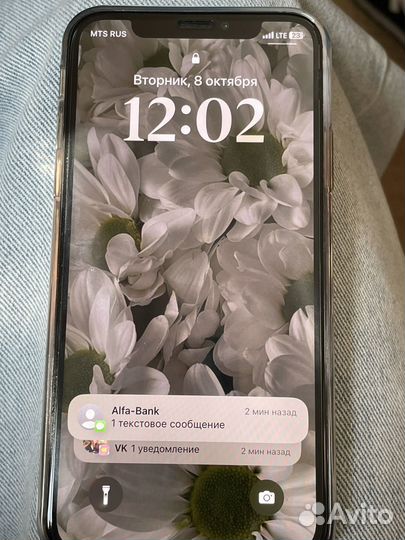 iPhone X, 256 ГБ