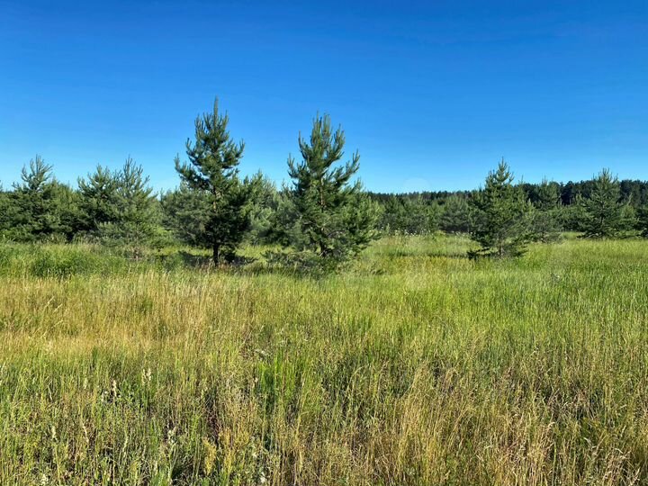 Участок 6 сот. (ИЖС)