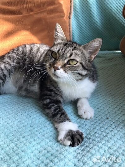 Плюшечка Тина