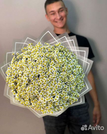 Букеты ромашек