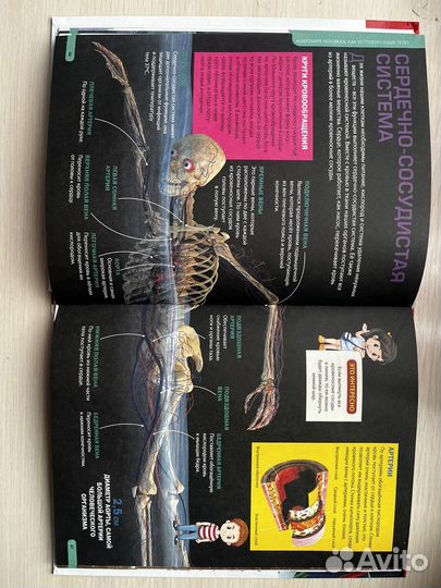 Энциклопедия для детей